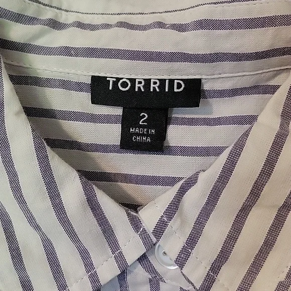 Torrid Blue and White Striped Button Down Long Sleeve Shirt - Picture 3 of 10